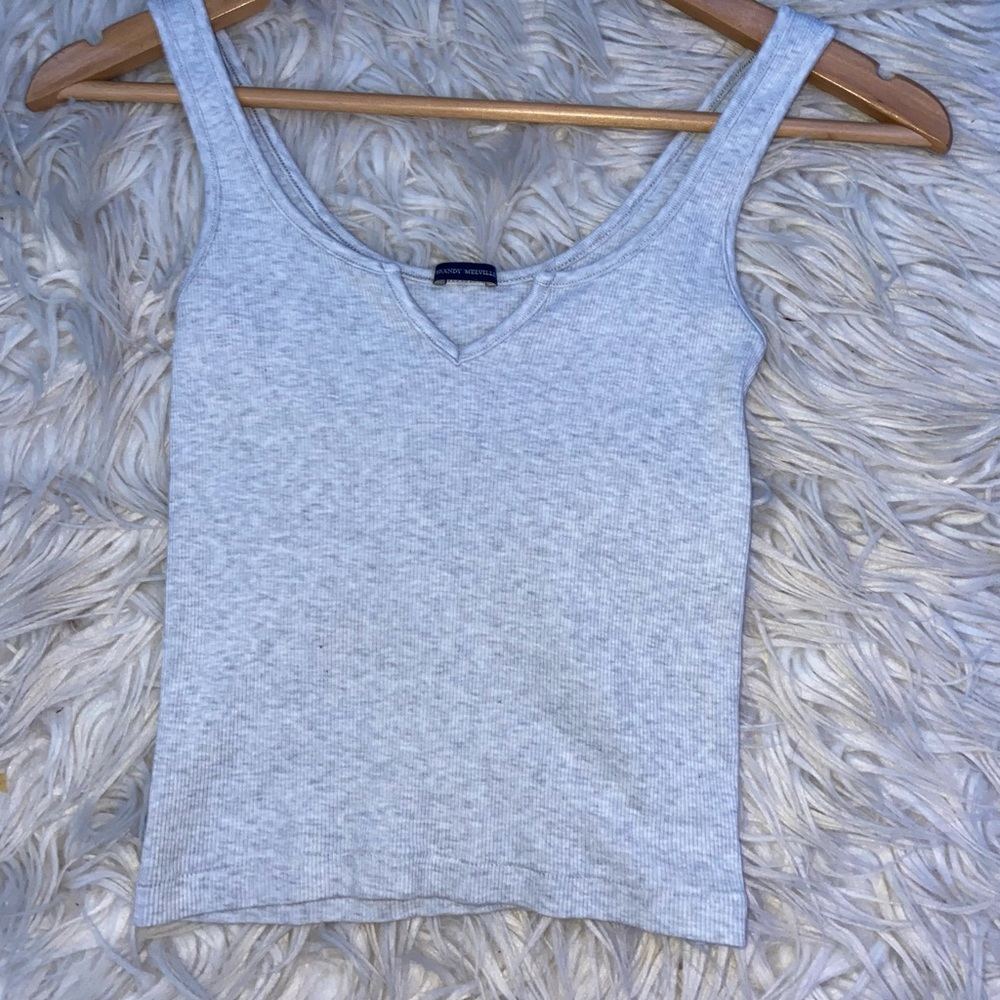 Brandy Melville Crop Top